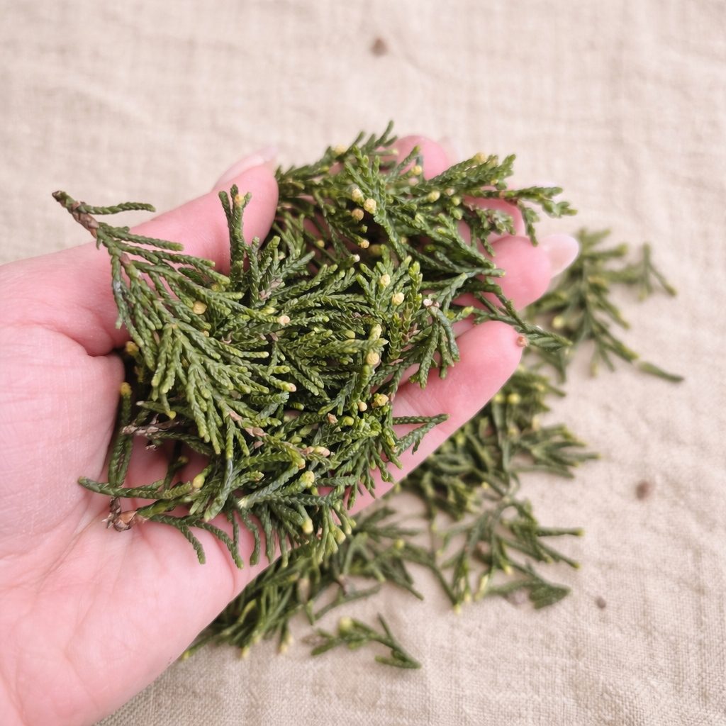 Cypress tips