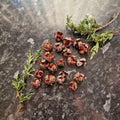 Cypress cones